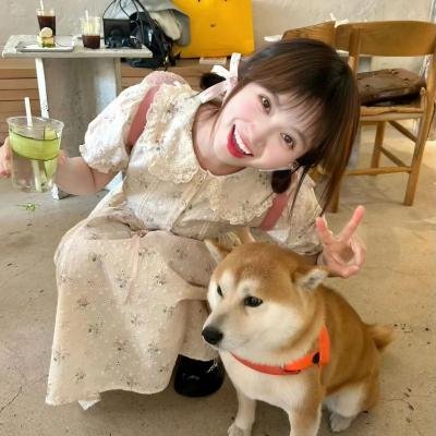 完美房子